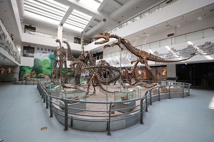 中國地質(zhì)大學(武漢)-地大熱能 中國地質(zhì)大學(武漢)-地大熱能