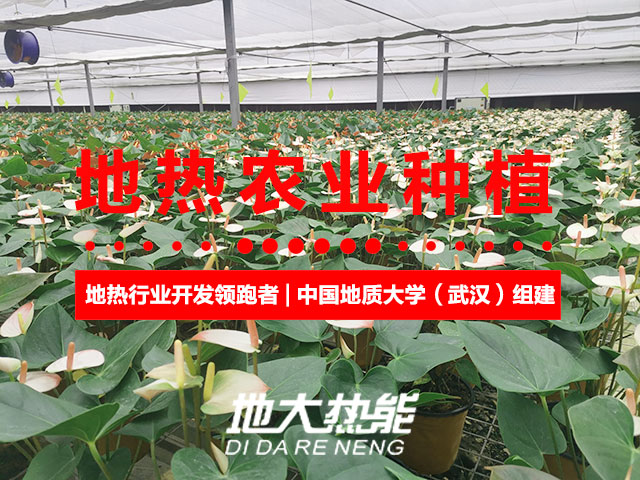 濟南:“地熱能+農(nóng)業(yè)”產(chǎn)業(yè)融合,讓地熱能真正“熱”起來-地大熱能 濟南:“地熱能+農(nóng)業(yè)”產(chǎn)業(yè)融合,讓地熱能真正“熱”起來-地大熱能